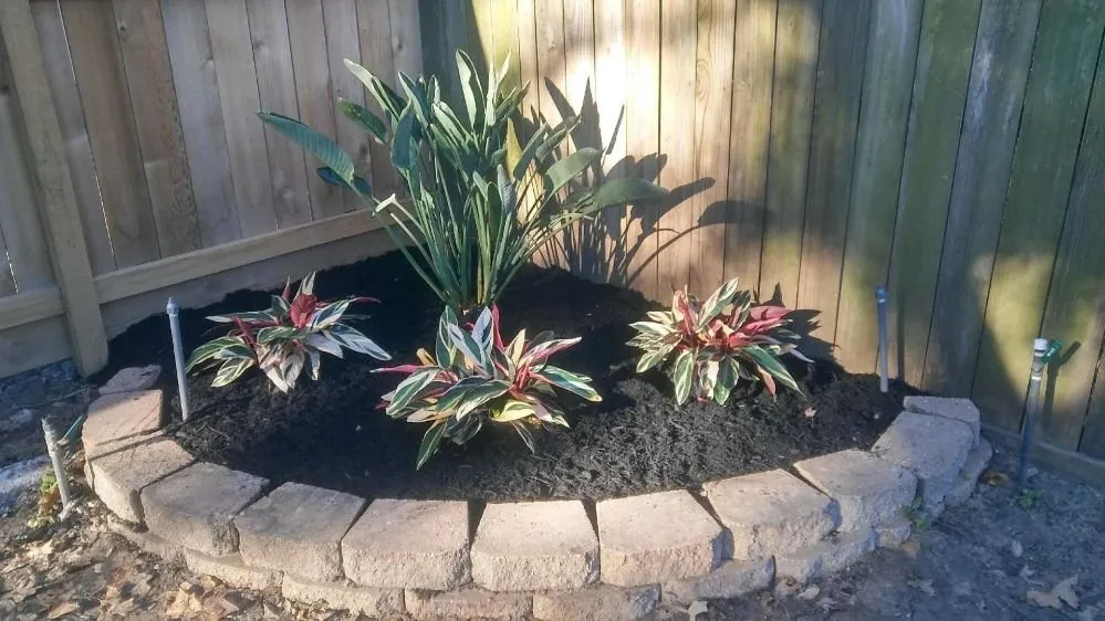 Custom lawn mowing service experts serving Houston, TX - Sun Rise Above Landscapes