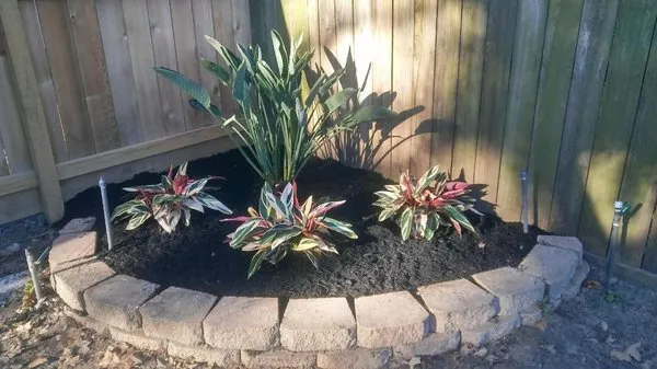 Sun Rise Above Landscapes Logo