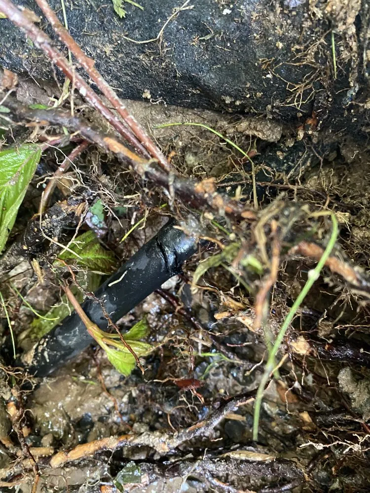 Reliable yard maintenance experts serving Boise City, ID - Sun River Lawn & Landscape