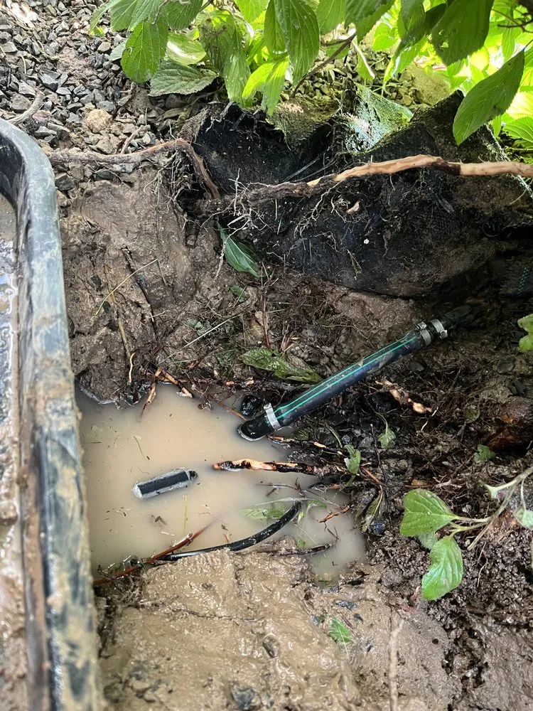 Local lawn care service in Boise City, ID by Sun River Lawn & Landscape