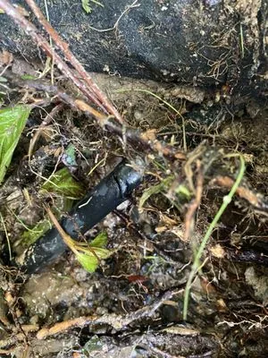 Sun River Lawn & Landscape