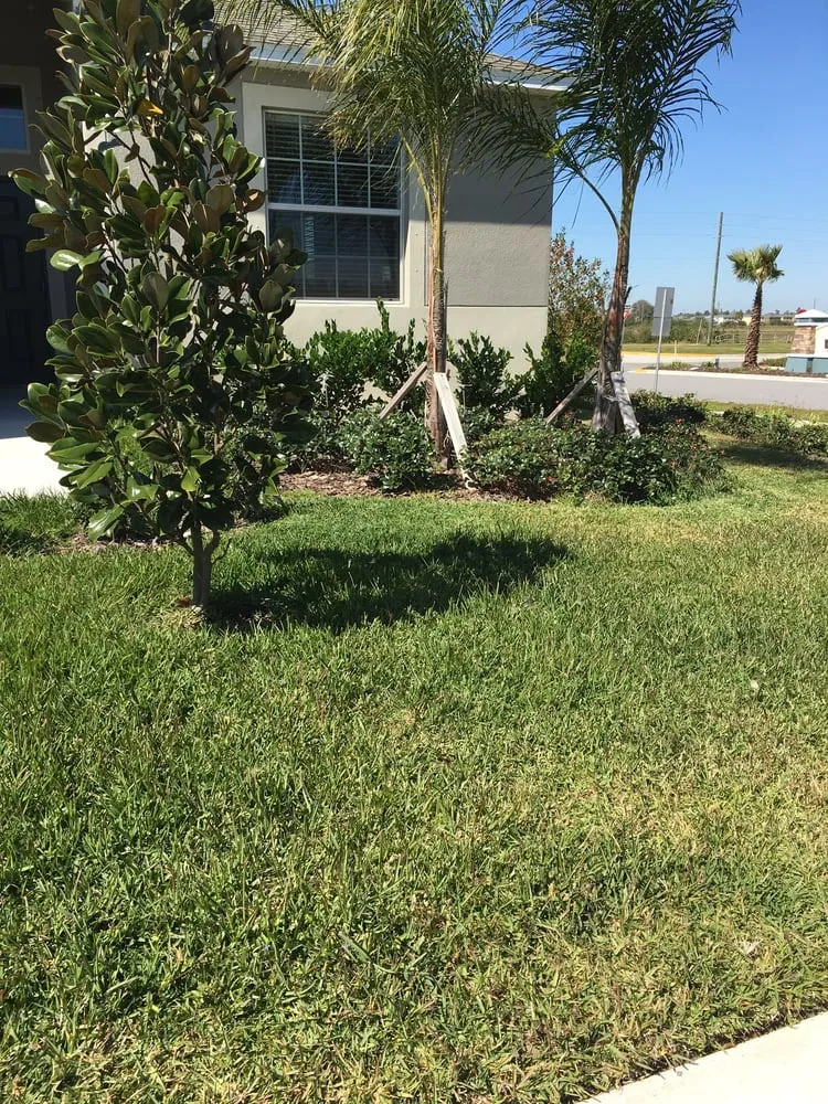 Trusted landscaping services in Ruskin, FL - Sun Serv Lawn and Landscape