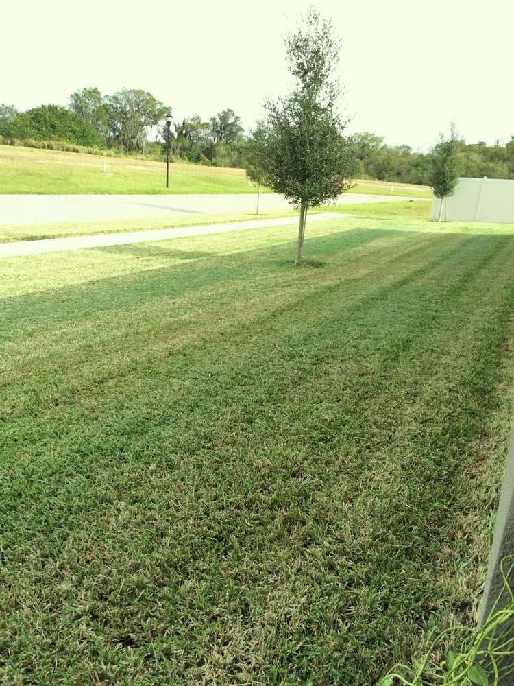 Professional garden landscaping experts serving Ruskin, FL - Sun Serv Lawn and Landscape