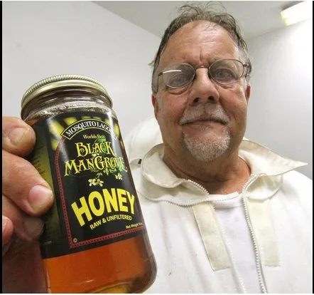 Trusted yard maintenance experts serving Edgewater, FL - Sun Splash of New Smyrna Beach