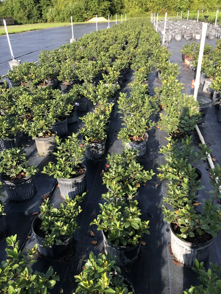 Reliable residential landscaping for residential properties across Edgewater, FL - Sun Splash of New Smyrna Beach