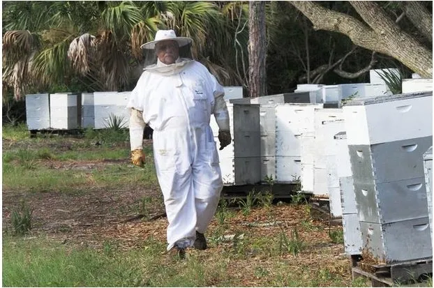 Expert garden landscaping near you across Edgewater, FL - Sun Splash of New Smyrna Beach