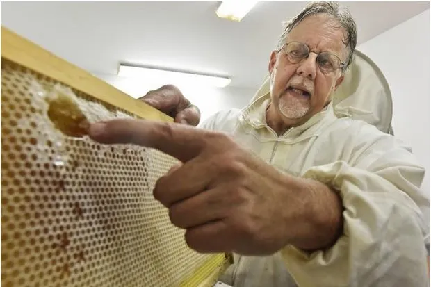 Custom lawn mowing service experts serving Edgewater, FL - Sun Splash of New Smyrna Beach