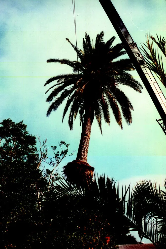 Local landscape design with custom design in Edgewater, FL by Sun Splash of New Smyrna Beach