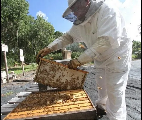 Local lawn care service in Edgewater, FL by Sun Splash of New Smyrna Beach