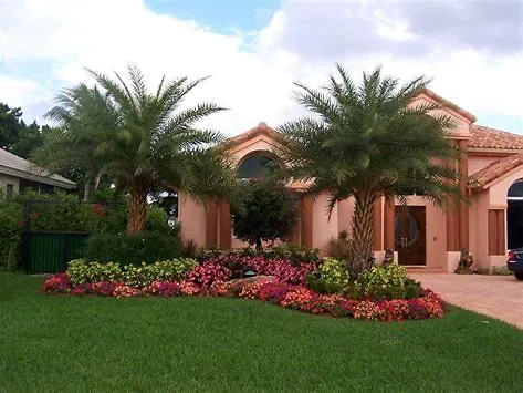 Trusted yard cleanup service in Parrish, FL by Sun State Landscape Management