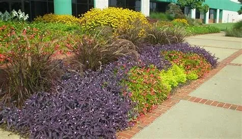 Local landscape installation experts serving Parrish, FL - Sun State Landscape Management