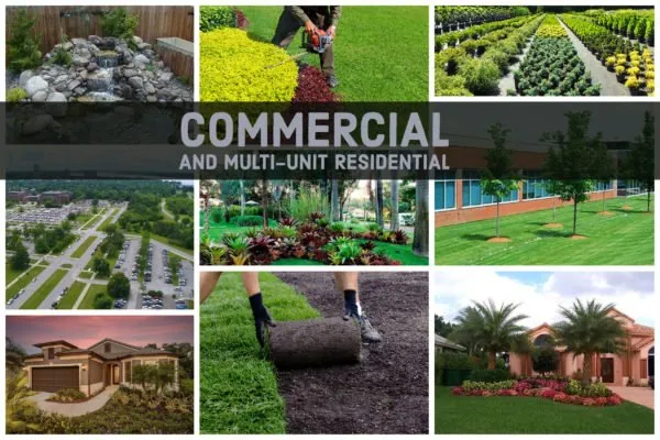 Local outdoor landscaping near you in Parrish, FL by Sun State Landscape Management