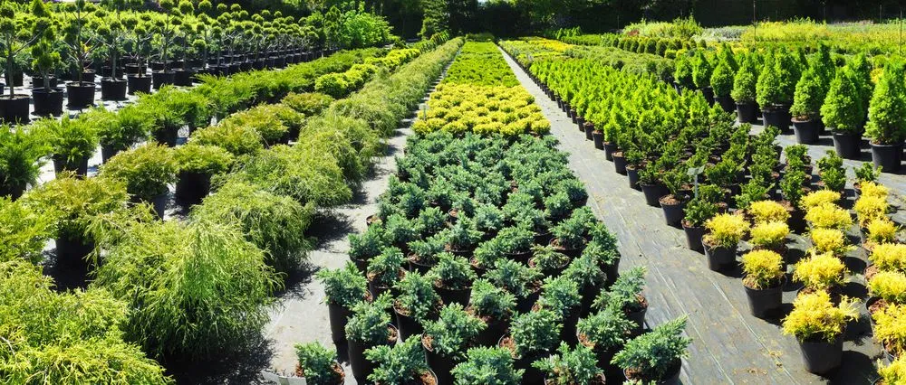 Top-rated landscape installation experts serving Parrish, FL - Sun State Landscape Management