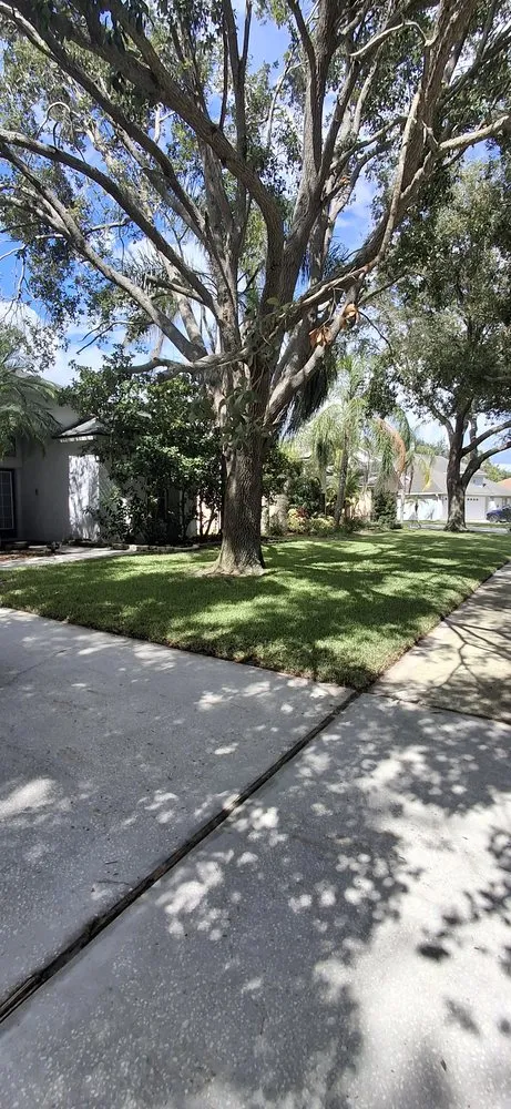 Expert lawn mowing service experts serving Riverview, FL - Sun State Lawn Services