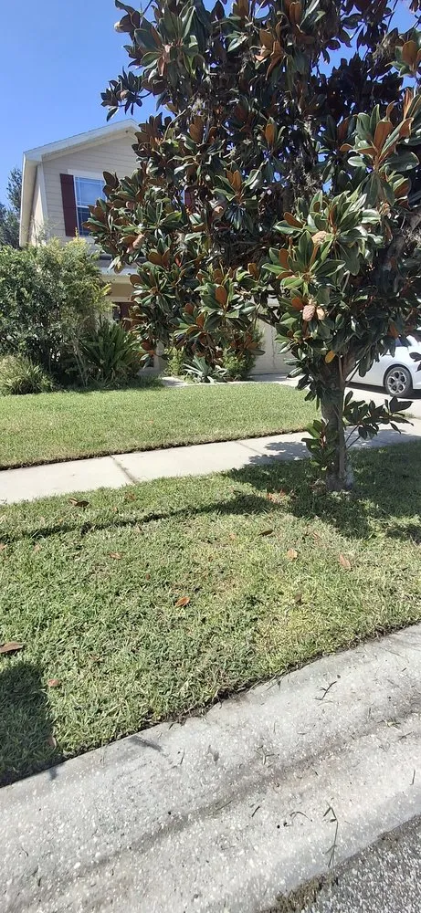 Local outdoor landscaping for homes across Riverview, FL - Sun State Lawn Services