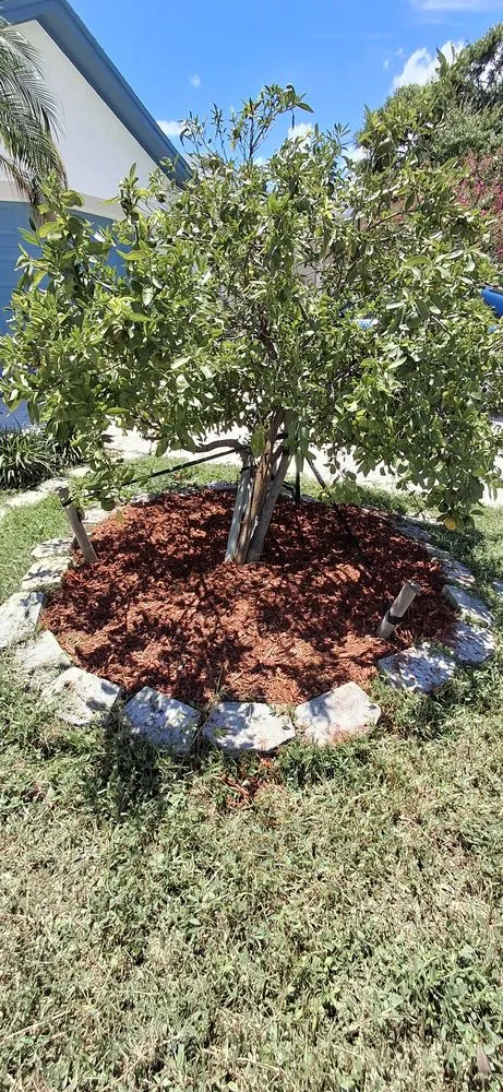 Trusted garden landscaping experts serving Riverview, FL - Sun State Lawn Services