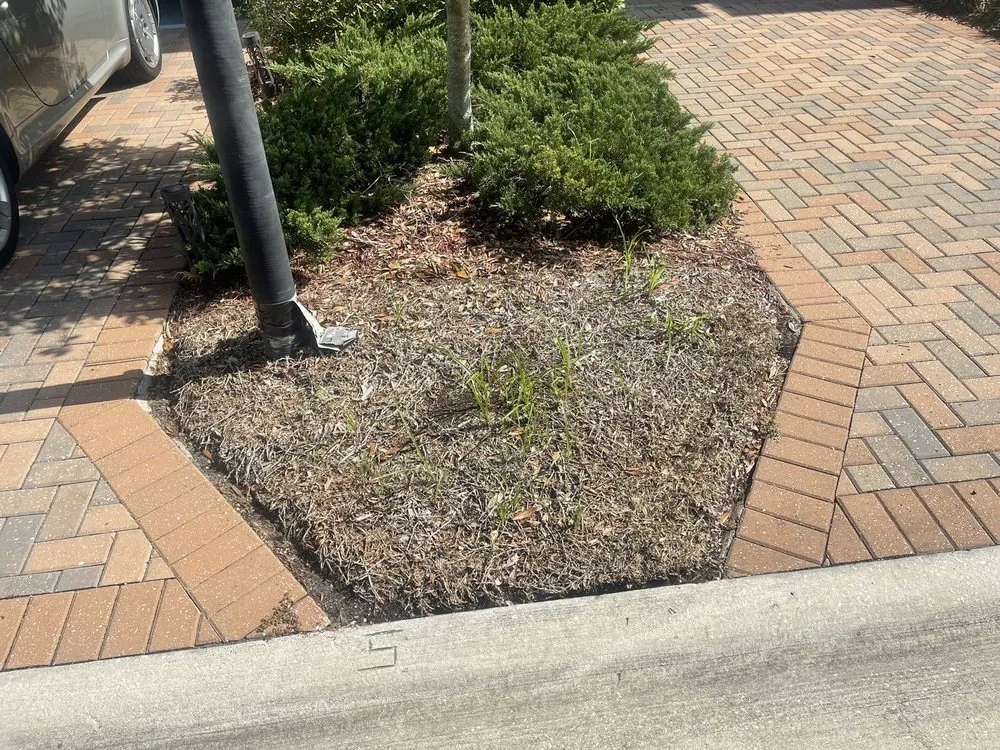 Professional lawn mowing service in Jacksonville, FL - Sun State Nursery & Landscaping