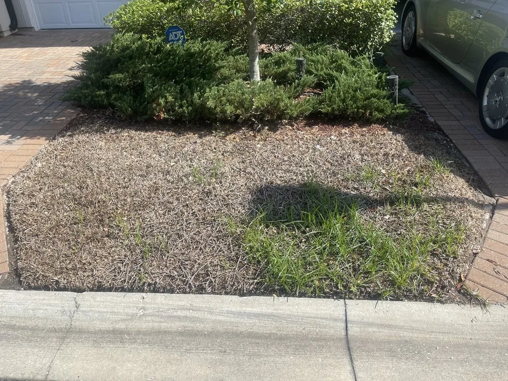 Top-rated landscape design experts serving Jacksonville, FL - Sun State Nursery & Landscaping