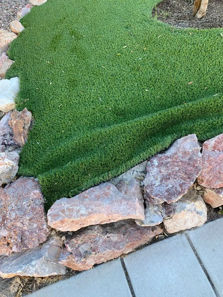 Expert yard cleanup service in Las Vegas, NV - Sun Turf