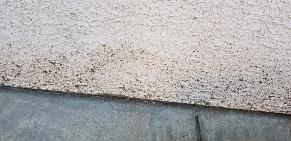 Trusted lawn care service experts serving Las Vegas, NV - Sun Turf