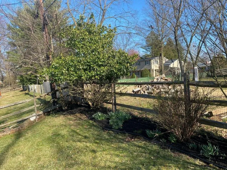 Professional yard cleanup service for year-round maintenance in Wayne, PA by Sun USA Landscaping