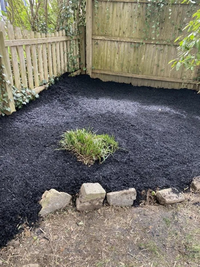 Local lawn mowing service in Wayne, PA by Sun USA Landscaping