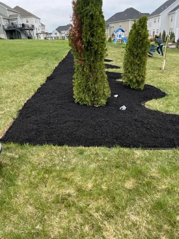 Reliable lawn care service for residential properties in Wayne, PA by Sun USA Landscaping