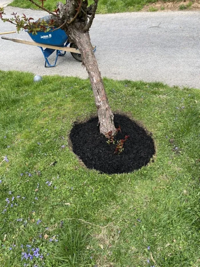 Custom lawn care service in Wayne, PA by Sun USA Landscaping