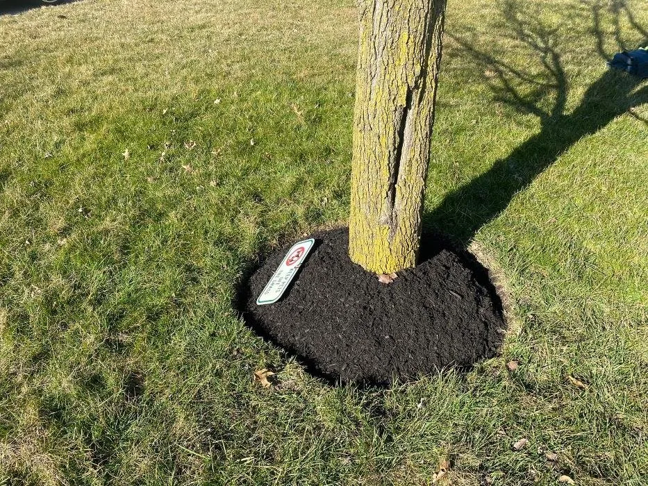 Reliable landscape design in Wayne, PA - Sun USA Landscaping