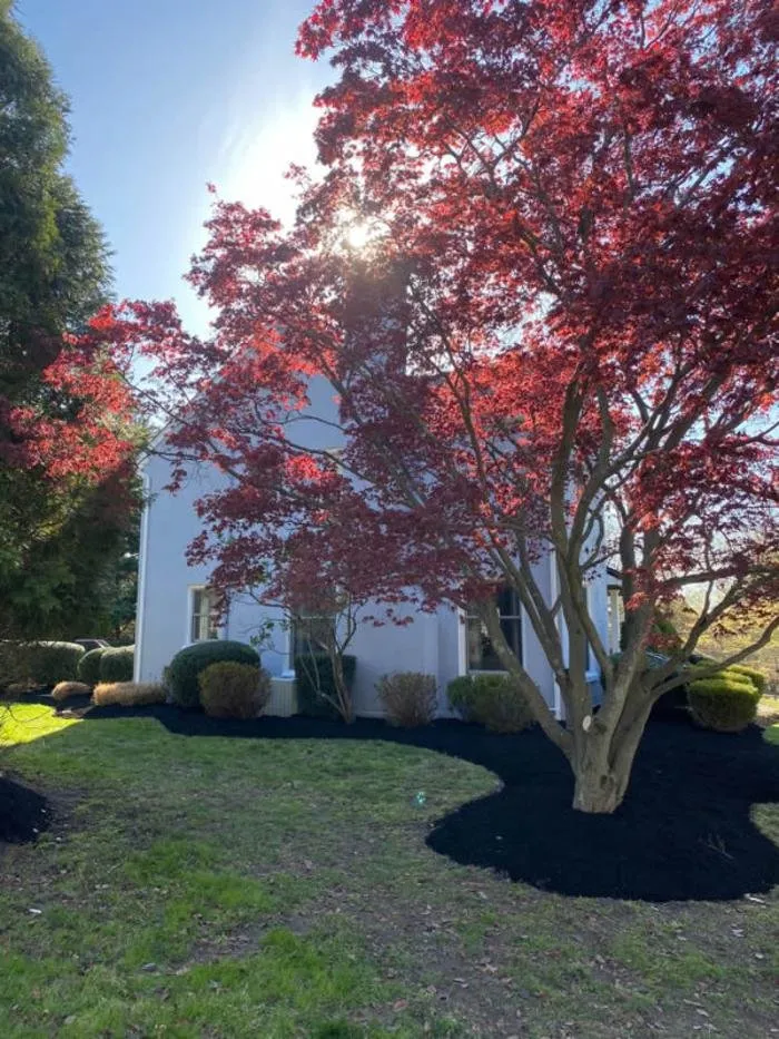 Top-rated landscaping services in Wayne, PA by Sun USA Landscaping