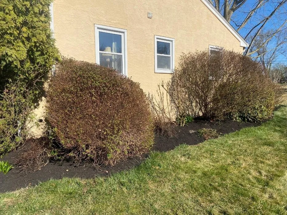 Professional yard cleanup service in Wayne, PA - Sun USA Landscaping