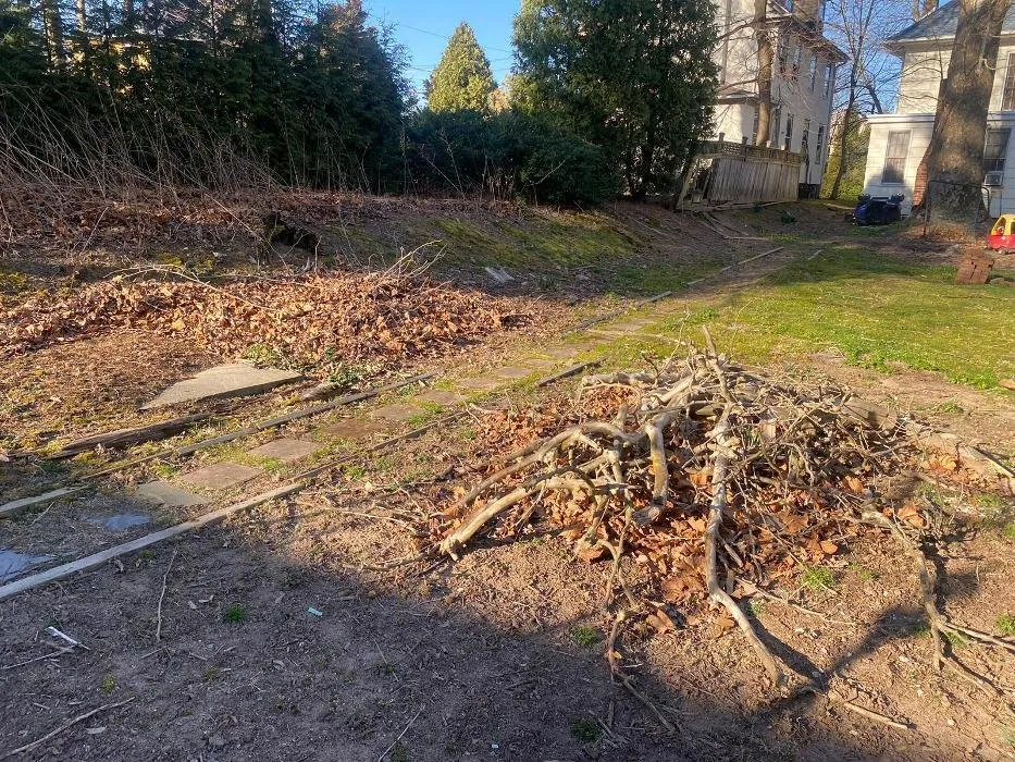 Local lawn care service in Wayne, PA - Sun USA Landscaping