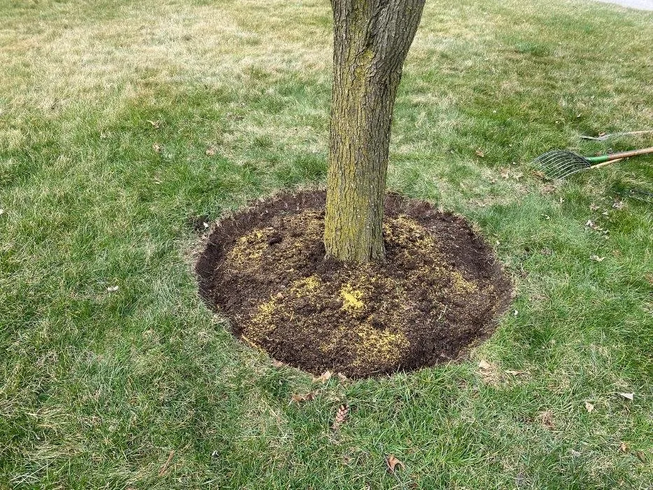 Affordable yard cleanup service in Wayne, PA by Sun USA Landscaping