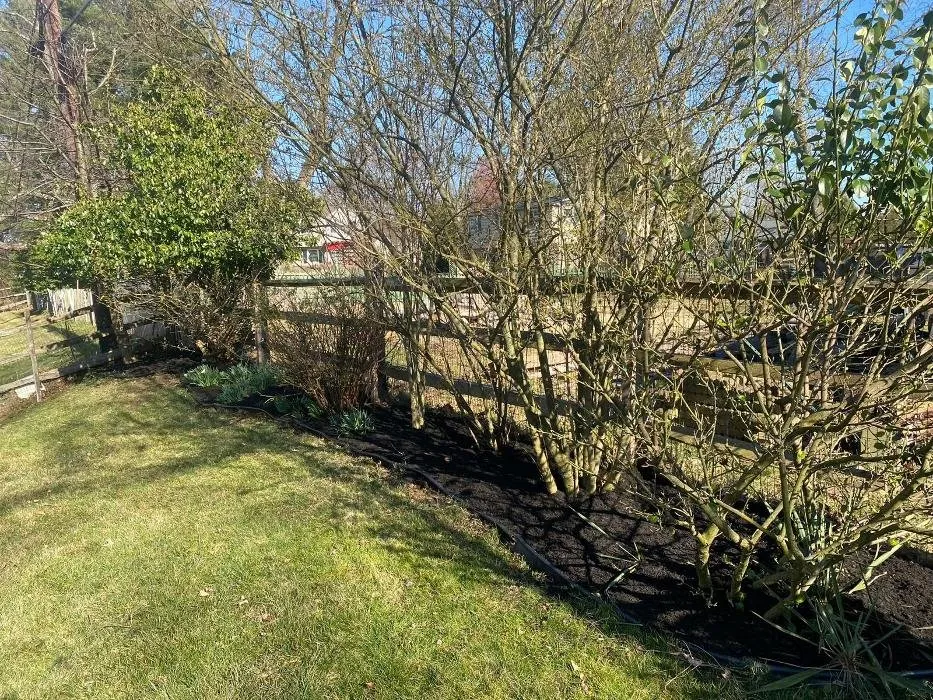 Trusted residential landscaping experts serving Wayne, PA - Sun USA Landscaping