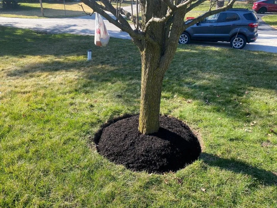 Custom outdoor landscaping near you across Wayne, PA - Sun USA Landscaping