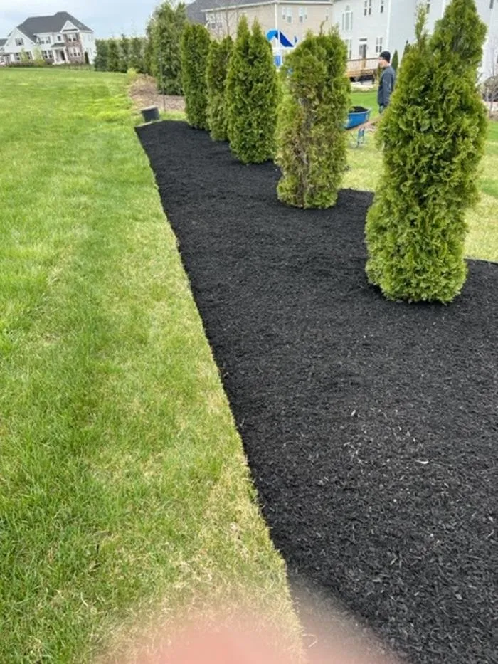 Top-rated landscape installation in Wayne, PA by Sun USA Landscaping