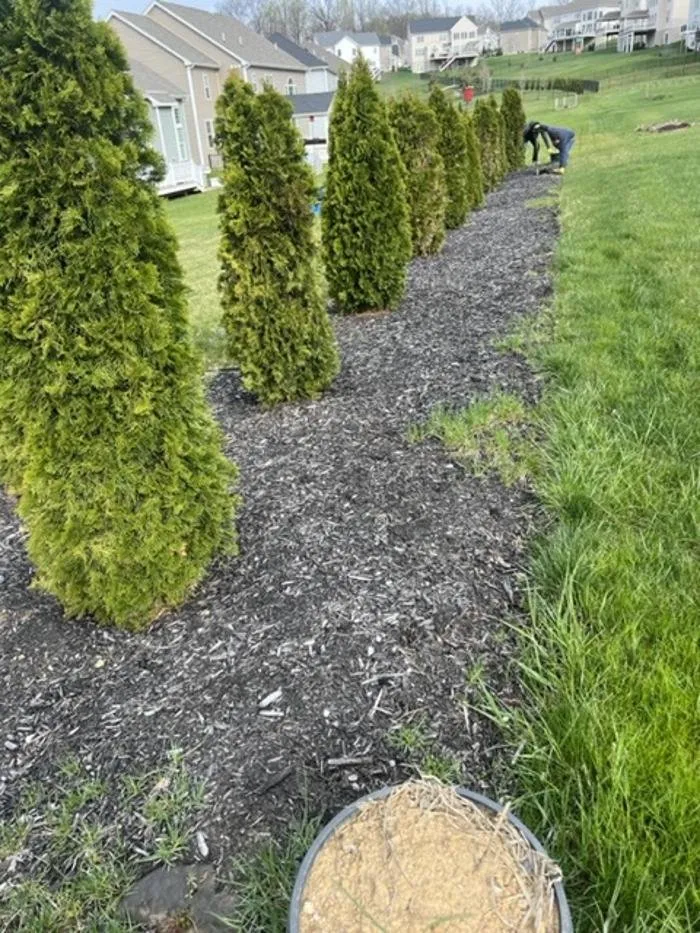 Trusted residential landscaping with custom design in Wayne, PA by Sun USA Landscaping