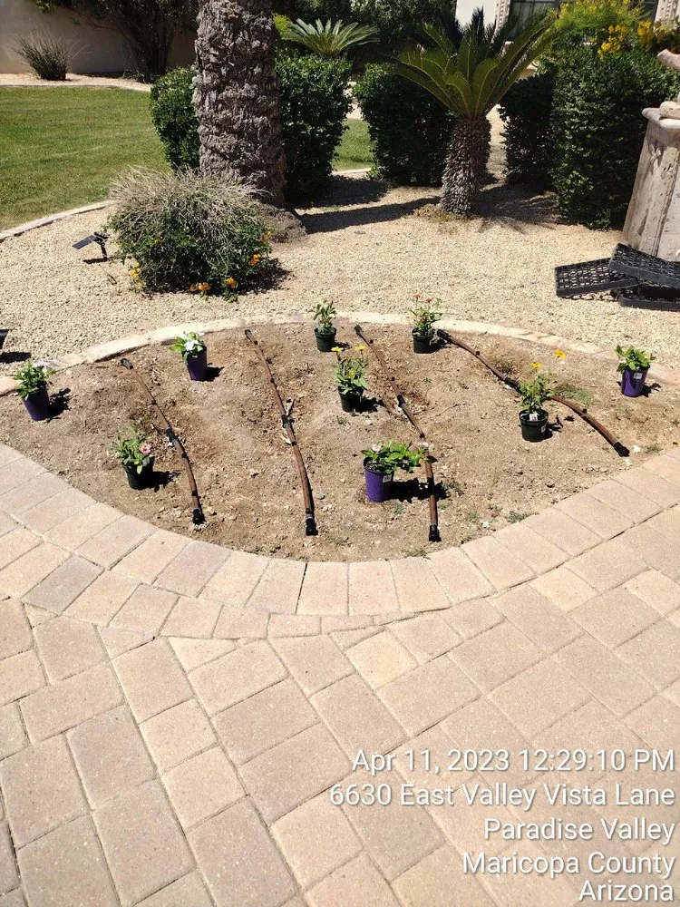 Expert landscape design for year-round maintenance in Goodyear, AZ by Sun Valley Landscaping