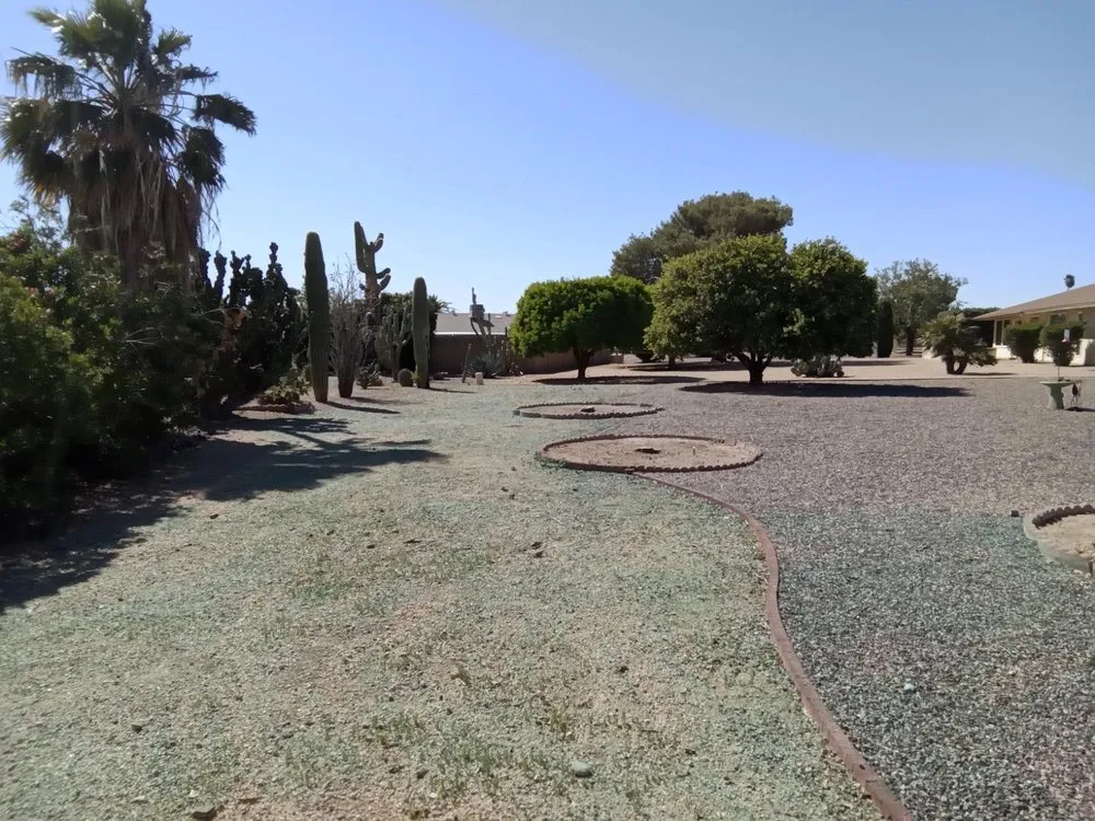 Reliable yard cleanup service in Goodyear, AZ - Sun Valley Landscaping