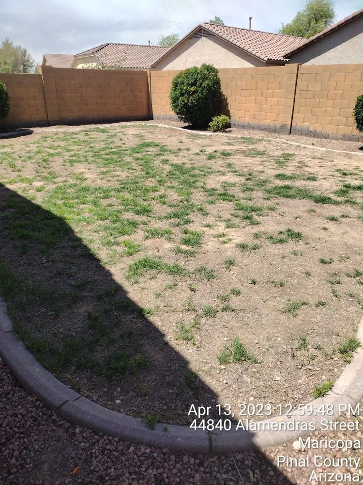 Professional lawn mowing service in Goodyear, AZ - Sun Valley Landscaping