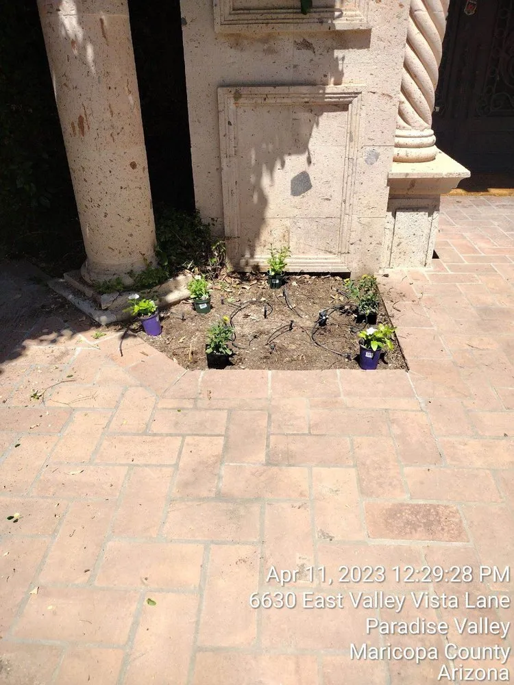 Custom residential landscaping in Goodyear, AZ - Sun Valley Landscaping