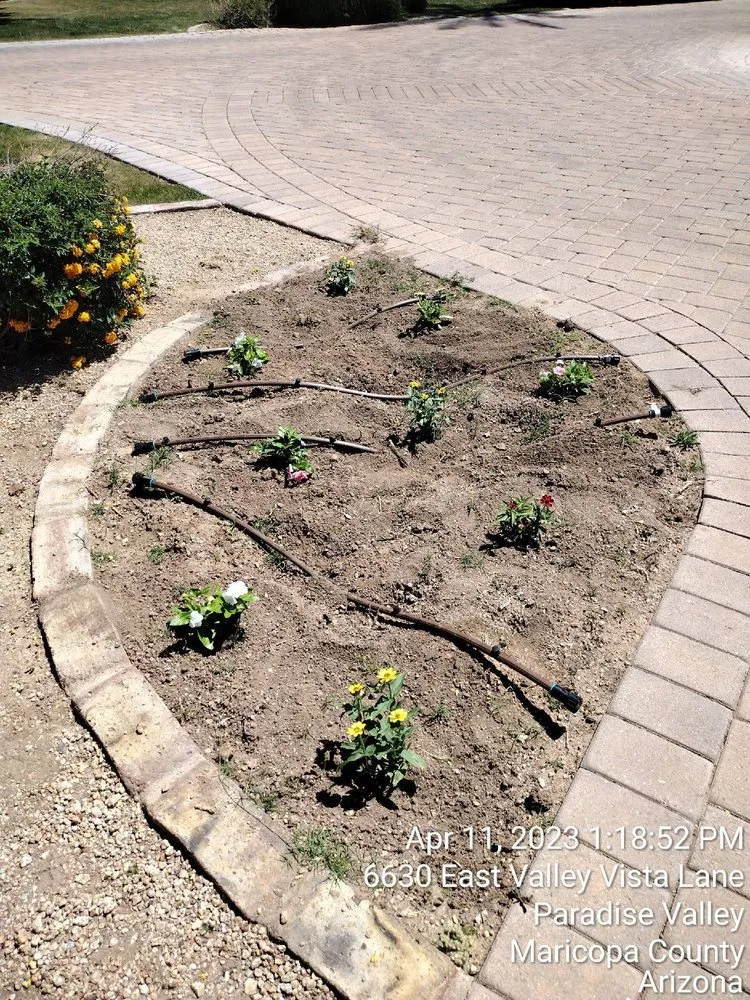 Local lawn care service experts serving Goodyear, AZ - Sun Valley Landscaping