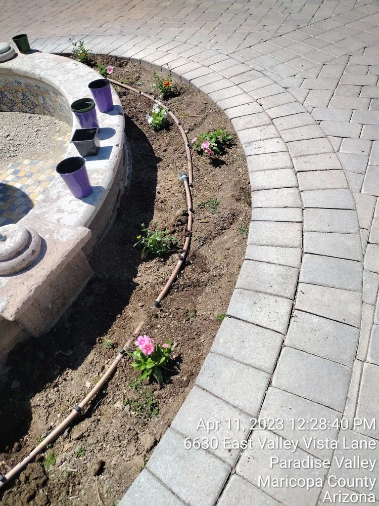 Top-rated lawn care service for residential properties across Goodyear, AZ - Sun Valley Landscaping