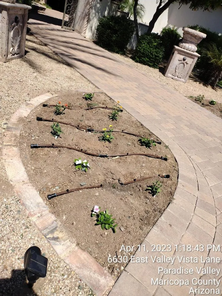 Expert residential landscaping for beautiful yards in Goodyear, AZ by Sun Valley Landscaping