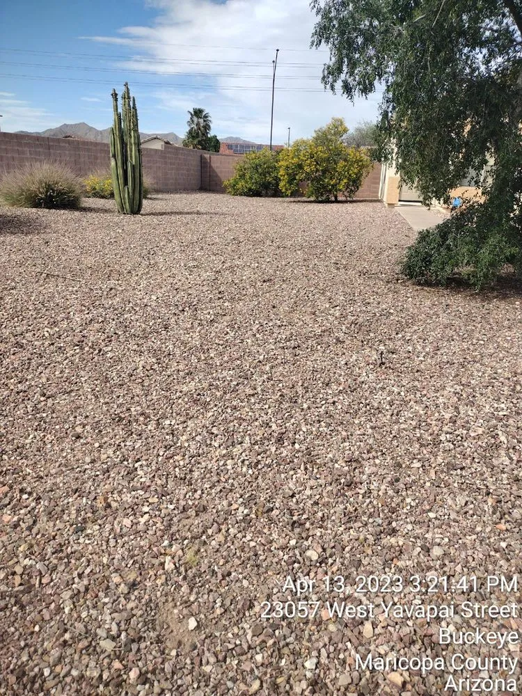 Affordable yard cleanup service in Goodyear, AZ - Sun Valley Landscaping