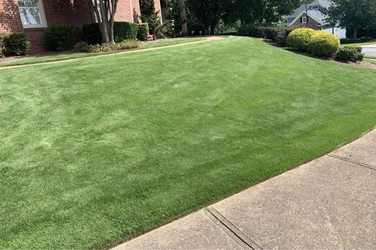 Top-rated landscaping services in Powder Springs, GA - Sun Valley Landscaping