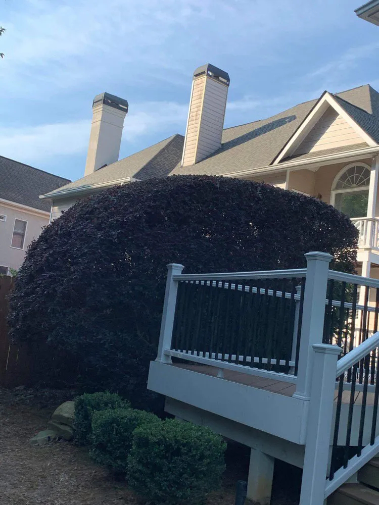 Trusted yard maintenance experts serving Powder Springs, GA - Sun Valley Landscaping