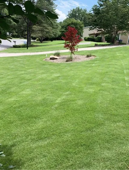 Custom yard cleanup service experts serving Powder Springs, GA - Sun Valley Landscaping