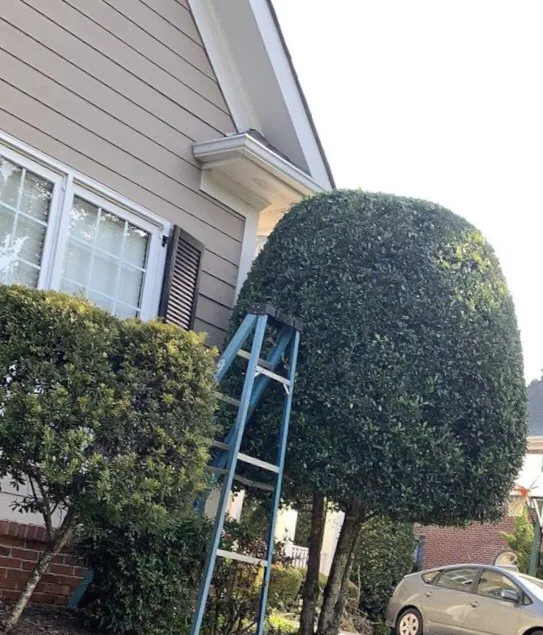 Local yard maintenance for beautiful yards in Powder Springs, GA by Sun Valley Landscaping