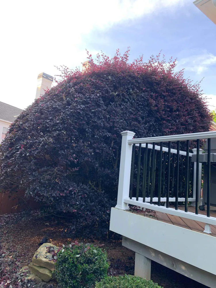 Reliable lawn care service for beautiful yards in Powder Springs, GA by Sun Valley Landscaping